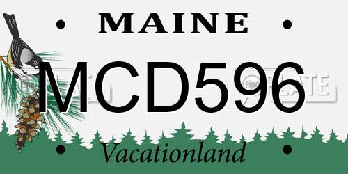 MCD596 Maine License Plate