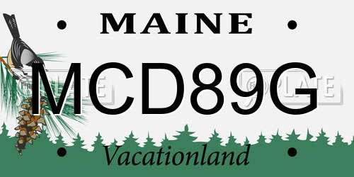 MCD89G Maine License Plate