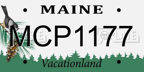 MCP1177 Maine License Plate