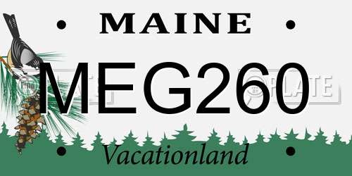 MEG260 Maine License Plate