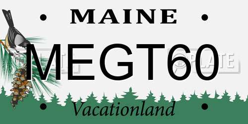MEGT60 Maine License Plate
