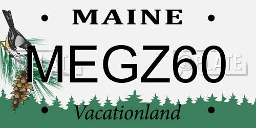 MEGZ60 Maine License Plate