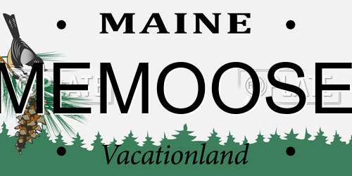 MEMOOSE Maine License Plate