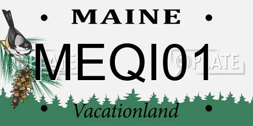 MEQI01 Maine License Plate