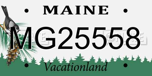MG25558 Maine License Plate