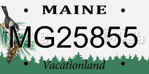 MG25855 Maine License Plate