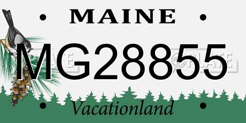 MG28855 Maine License Plate