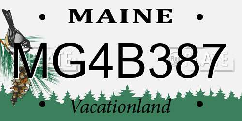 MG4B387 Maine License Plate