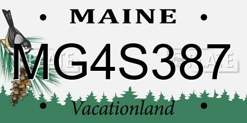 MG4S387 Maine License Plate