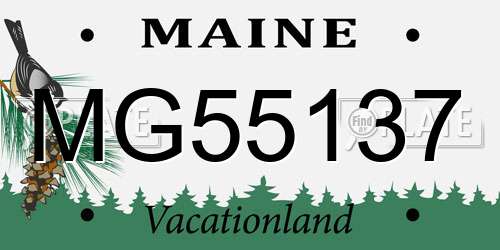 MG55137 Maine License Plate