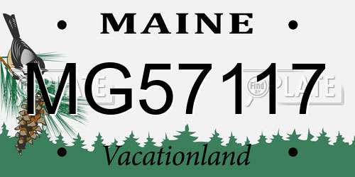MG57117 Maine License Plate