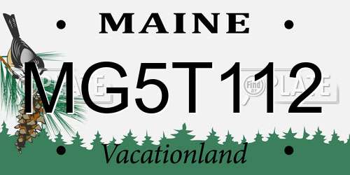 MG5T112 Maine License Plate
