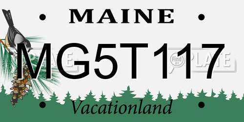 MG5T117 Maine License Plate