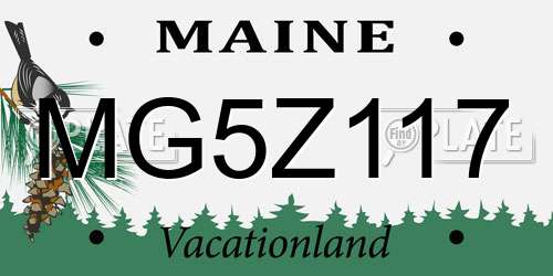 MG5Z117 Maine License Plate