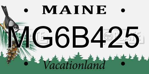 MG6B425 Maine License Plate