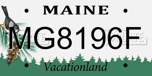 MG8196F Maine License Plate