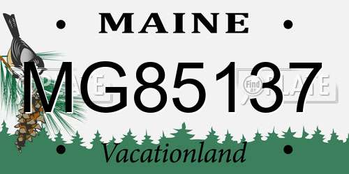 MG85137 Maine License Plate