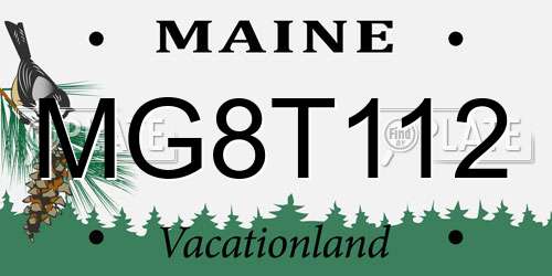 MG8T112 Maine License Plate