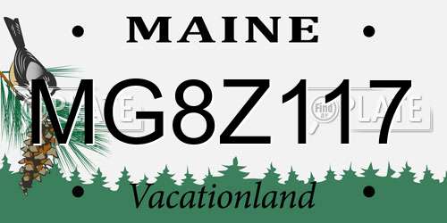 MG8Z117 Maine License Plate