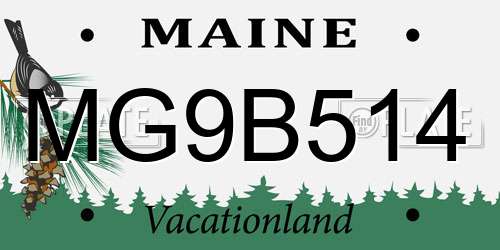 MG9B514 Maine License Plate
