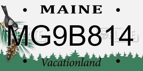 MG9B814 Maine License Plate