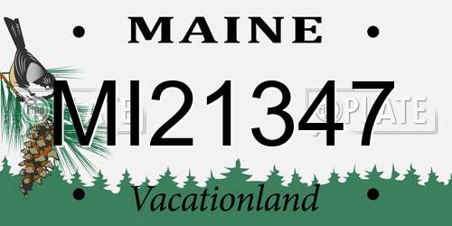MI21347 Maine License Plate