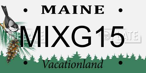 MIXG15 Maine License Plate