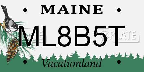 ML8B5T Maine License Plate