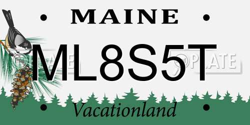 ML8S5T Maine License Plate