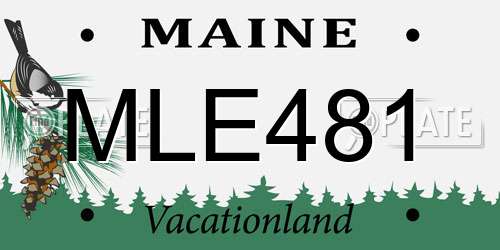 MLE481 Maine License Plate