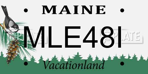 MLE48I Maine License Plate