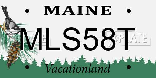 MLS58T Maine License Plate