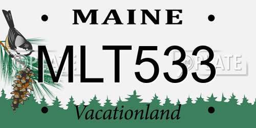 MLT533 Maine License Plate