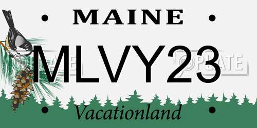 MLVY23 Maine License Plate