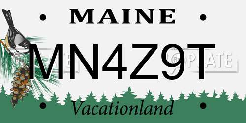 MN4Z9T Maine License Plate