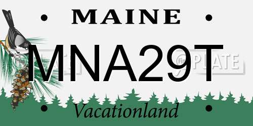 MNA29T Maine License Plate