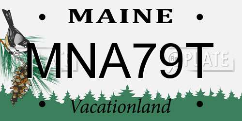 MNA79T Maine License Plate