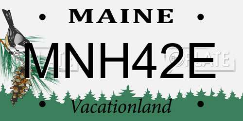 MNH42E Maine License Plate