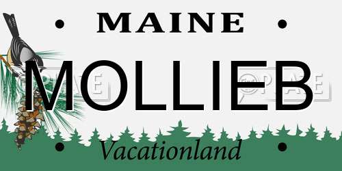 MOLLIEB Maine License Plate