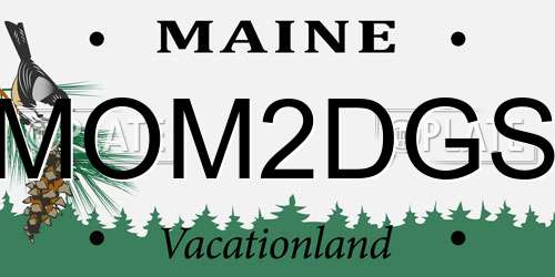MOM2DGS Maine License Plate