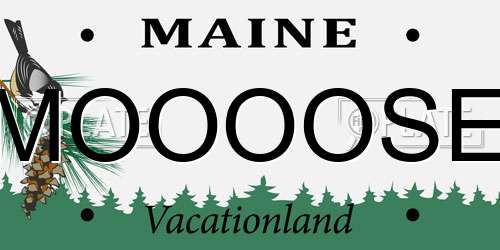 MOOOOSE Maine License Plate