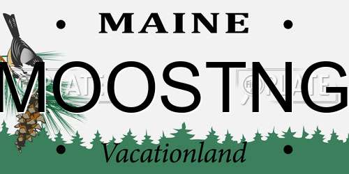 MOOSTNG Maine License Plate