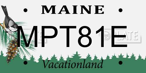 MPT81E Maine License Plate