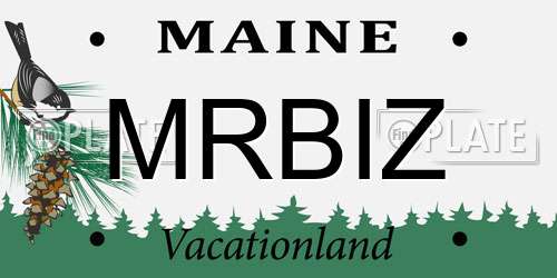 MRBIZ Maine License Plate