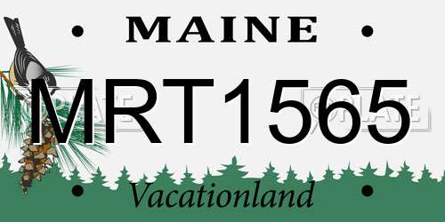 MRT1565 Maine License Plate