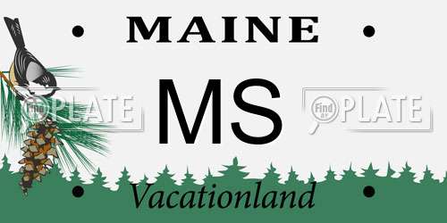 MS Maine License Plate