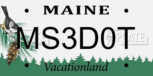 MS3D0T Maine License Plate