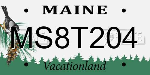 MS8T204 Maine License Plate