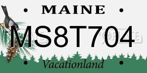 MS8T704 Maine License Plate