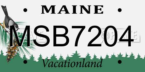 MSB7204 Maine License Plate